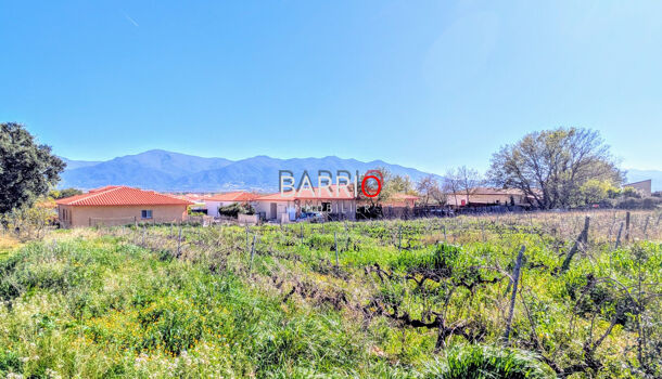 Terrain  à vendre Brouilla 66620