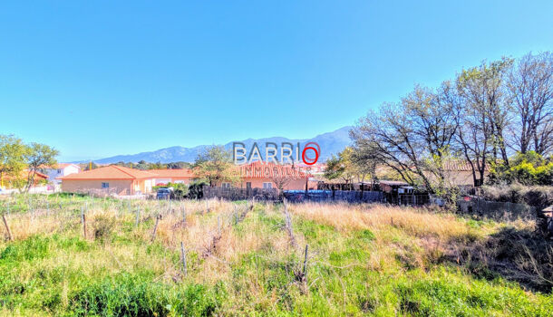 Terrain  à vendre Brouilla 66620