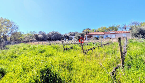 Terrain  à vendre Brouilla 66620