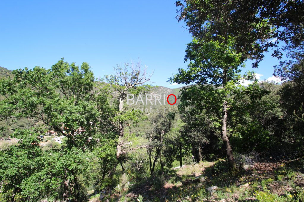 Terrain  à vendre Sorède 66690