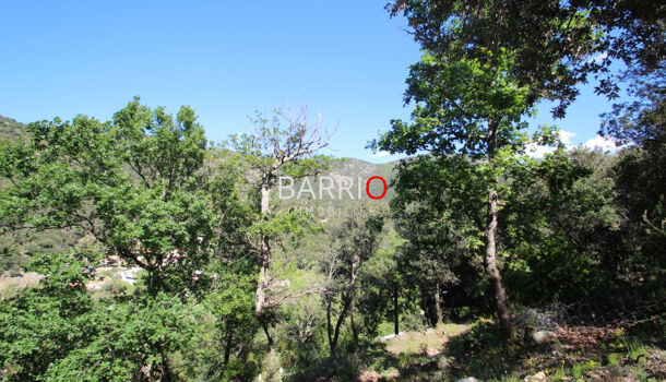Terrain  à vendre Sorède 66690
