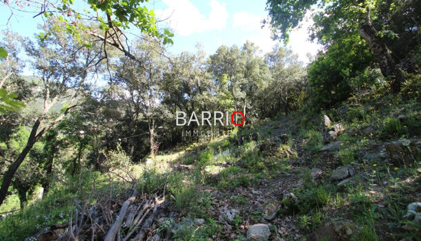 Terrain  à vendre Sorède 66690