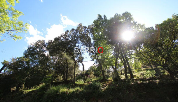 Terrain  à vendre Sorède 66690