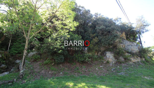 Terrain  à vendre Sorède 66690