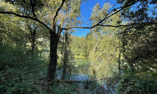 Divers 2 Pièces 35 m² à vendre à Bellegarde-Marsal (81430)