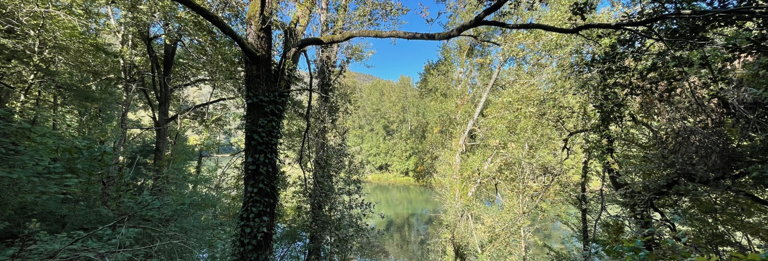 Divers 2 Pièces 35 m² à vendre à Bellegarde-Marsal (81430)