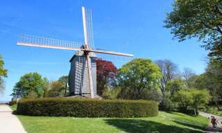 Maison 9 Pièces 200 m² à vendre à Sainte-Marie-Cappel (59670)