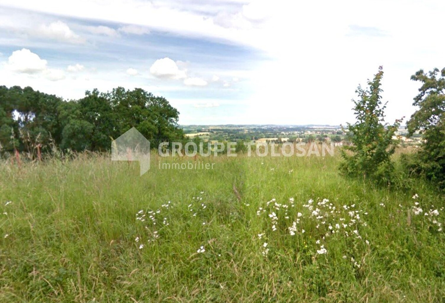 Terrain — photo 1