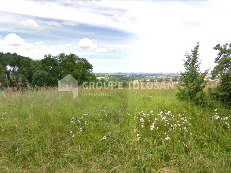 Terrain — photo 1