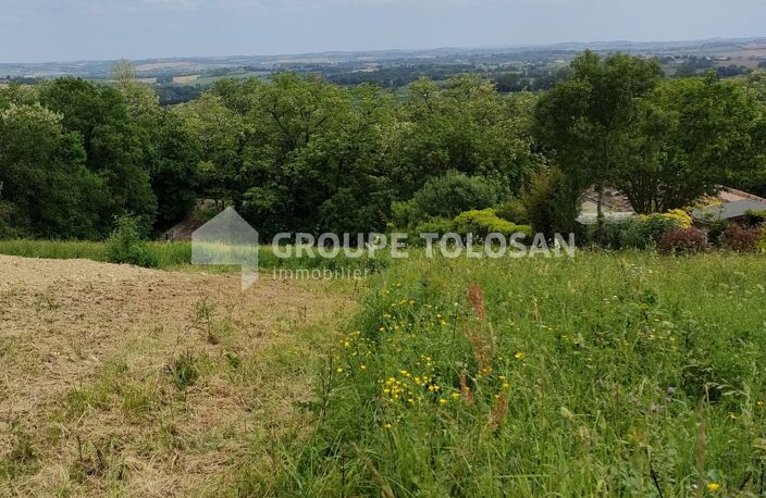 Terrain — photo 2