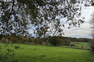 Terrain  30000 €