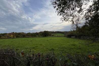 Terrain  30000 €