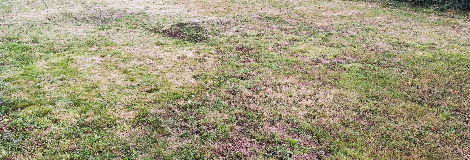 Terrain  300 m² à vendre à Saint-Nicolas-de-Redon (44460)