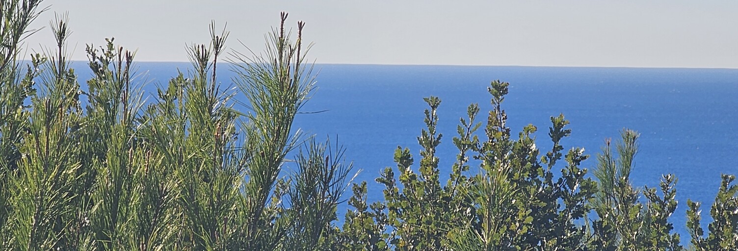 Appartement 4 Pièces 74 m² à vendre à Six-Fours-les-Plages (83140)