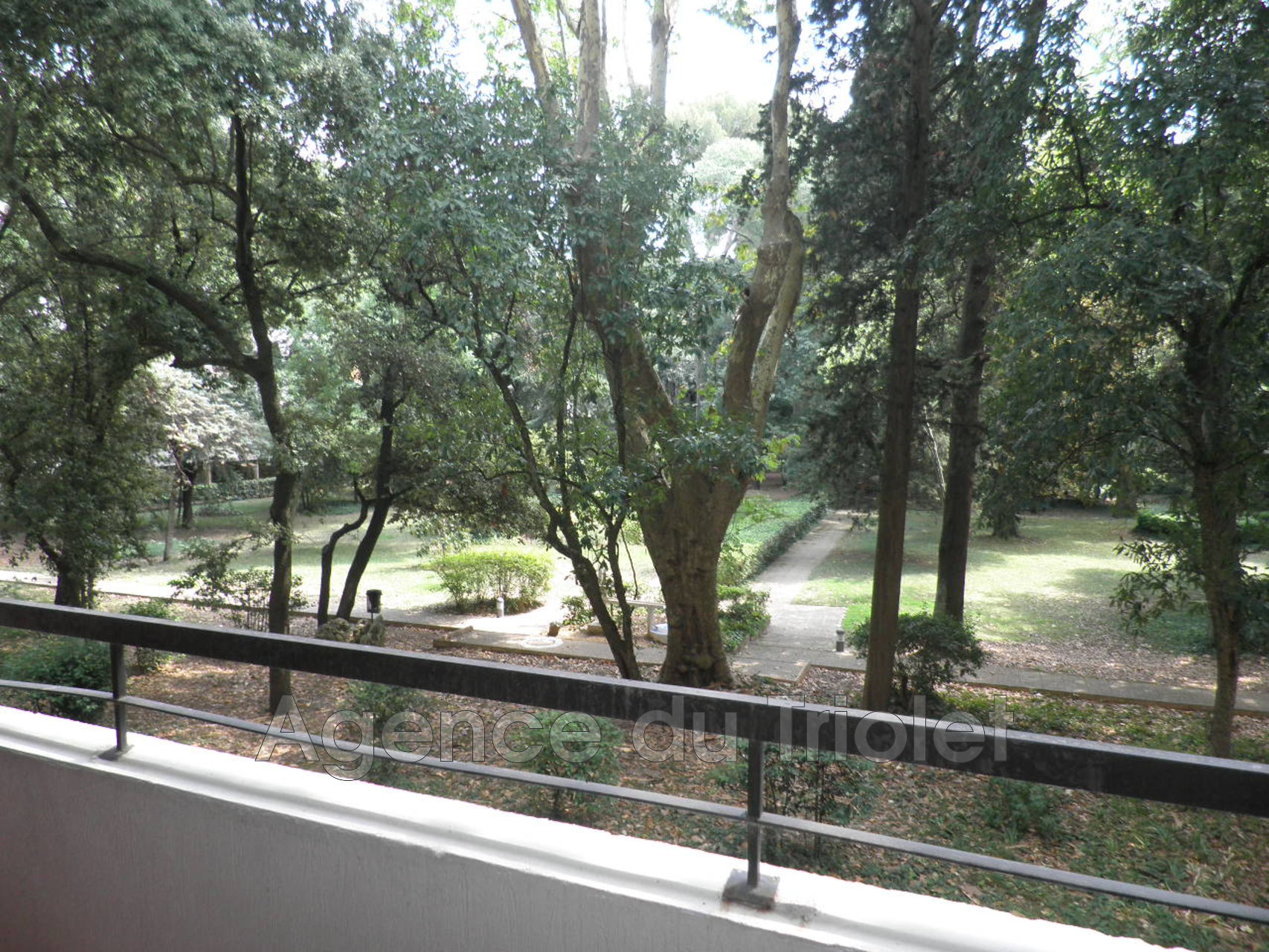 Agence immobilière de AGENCE DU TRIOLET