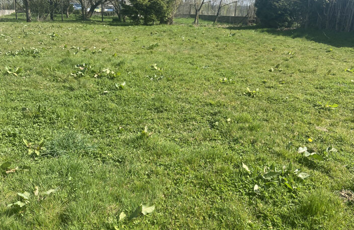 Villers-Châtel : terrain à construire à acheter — photo 2