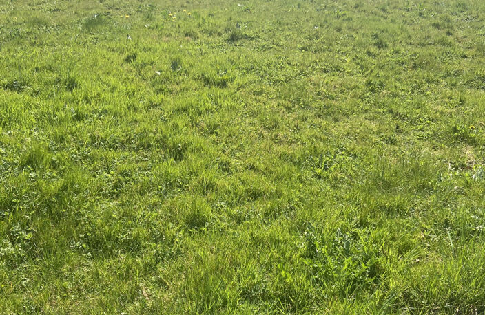 Villers-Châtel : terrain à construire à acheter — photo 3