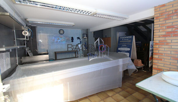 Autres  à vendre Saint-Cyprien 66750