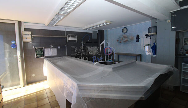 Autres  à vendre Saint-Cyprien 66750