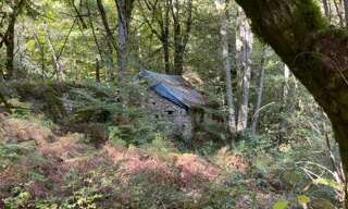 Maison   m² à vendre à Chaumeil (19390)