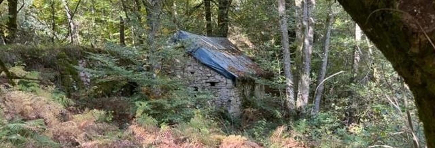 Maison   m² à vendre à Chaumeil (19390)