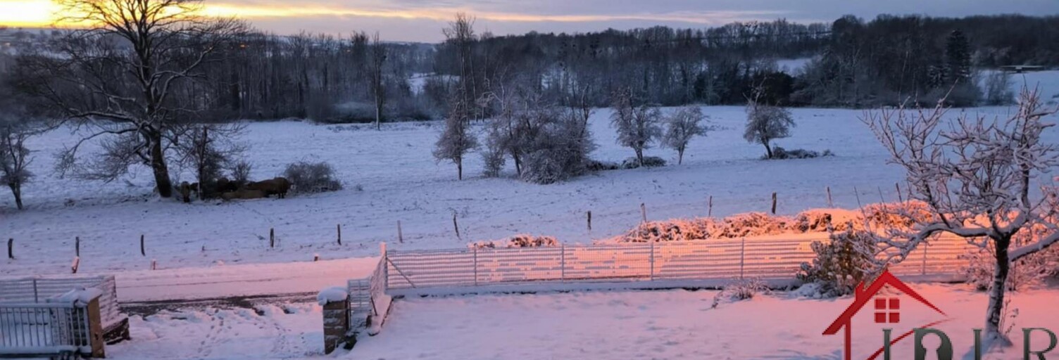 Maison 7 Pièces 195 m² à vendre à Saint-Julien (88410)