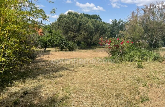TERRAIN 901 M² — photo 2