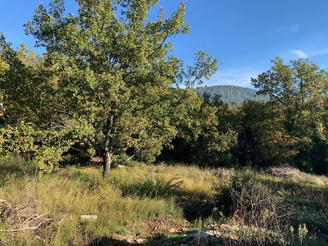 Terrain  à vendre Besse-sur-Issole 83890