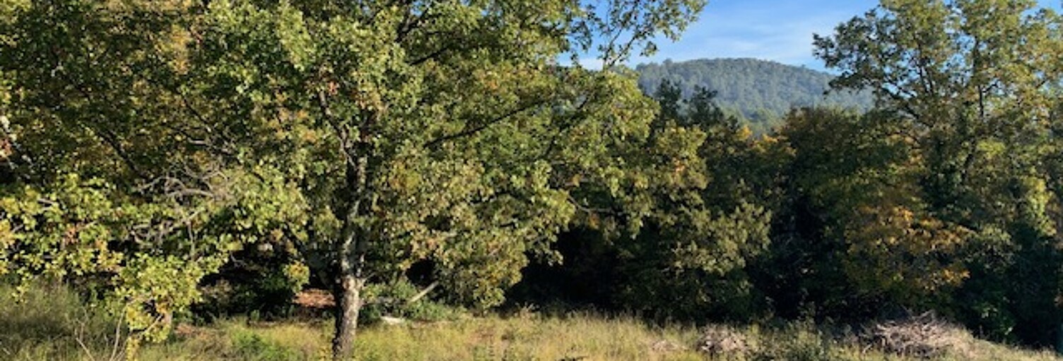 Terrain 690 m² à construire Besse-sur-Issole (83890)