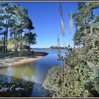 Appartement 2 pièces 195000 €