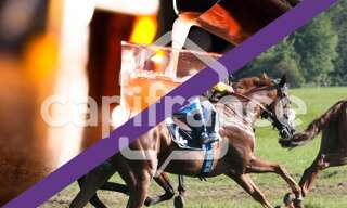 Commerce 14 Pièces 260 m² à vendre à Quimper (29000)