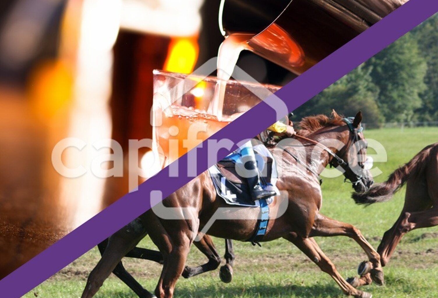 FINISTÈRE SUD – BAR TABAC FDJ PMU – 450 K€ CA – EBE 200 K€ – APPT VUE MER — photo 1