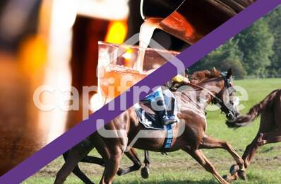 FINISTÈRE SUD – BAR TABAC FDJ PMU – 450 K€ CA – EBE 200 K€ – APPT VUE MER — photo du bien