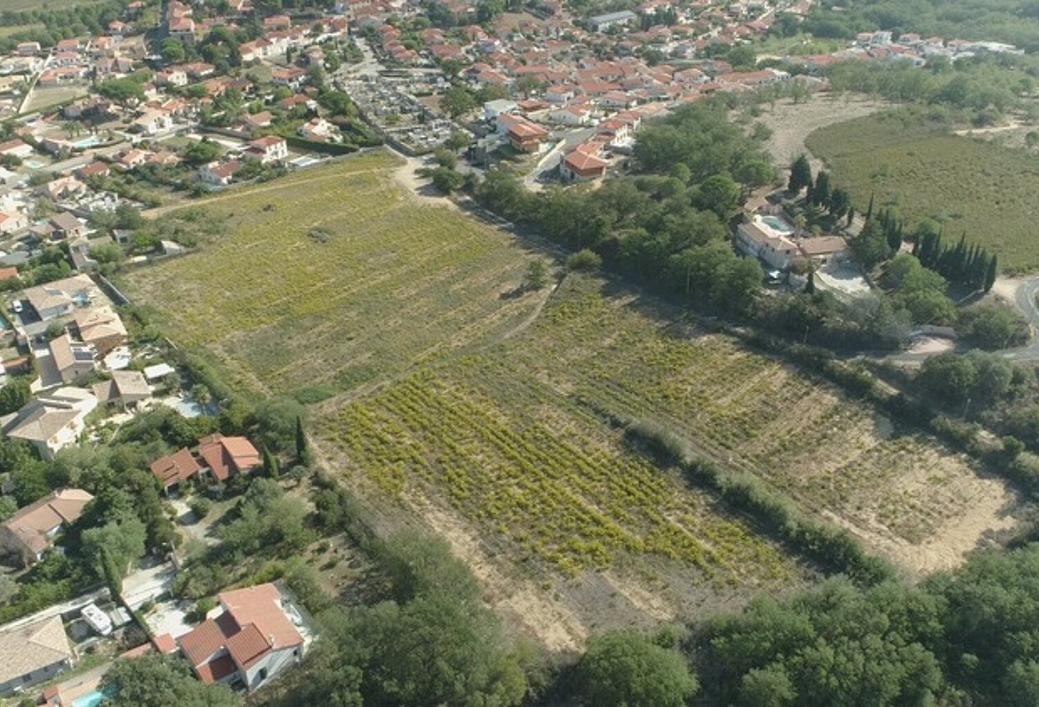 Dpt Pyrénées Orientales (66), à vendre BANYULS DELS ASPRES terrain constructible 256 m² en 3 faces — photo 1