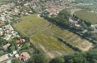 Dpt Pyrénées Orientales (66), à vendre BANYULS DELS ASPRES terrain constructible 256 m² en 3 faces — photo du bien