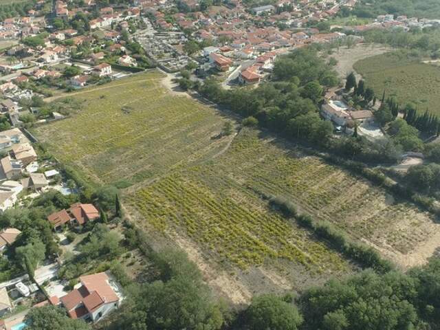Dpt Pyrénées Orientales (66), à vendre BANYULS DELS ASPRES terrain constructible 256 m² en 3 faces — photo du bien