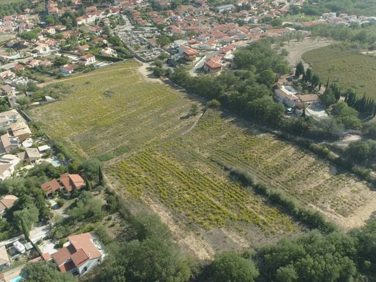 Dpt Pyrénées Orientales (66), à vendre BANYULS DELS ASPRES terrain constructible 256 m² en 3 faces — photo 1