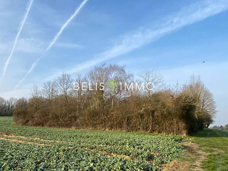 PARCELLE DE BOIS - AMBOISE 2290 M² — photo 1