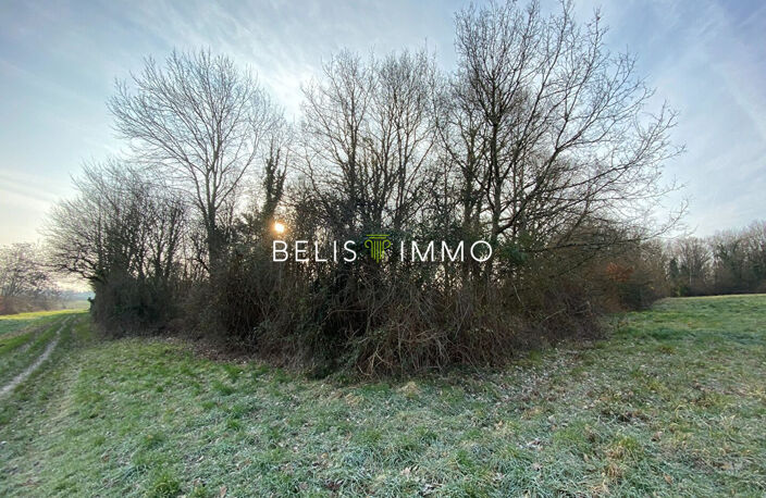 PARCELLE DE BOIS - AMBOISE 2290 M² — photo 2