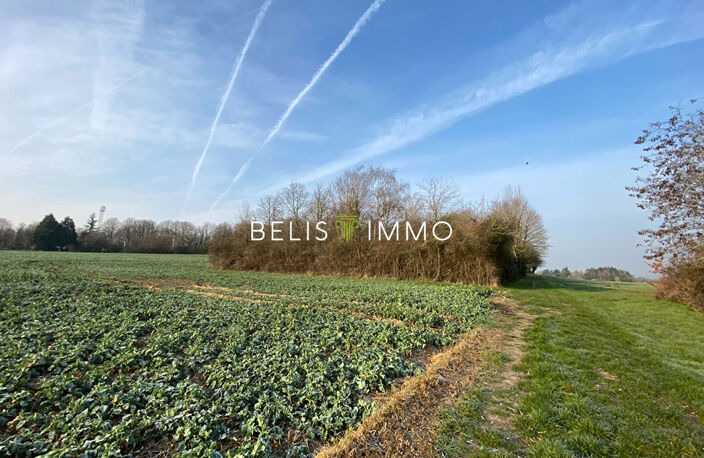 PARCELLE DE BOIS - AMBOISE 2290 M² — photo 3