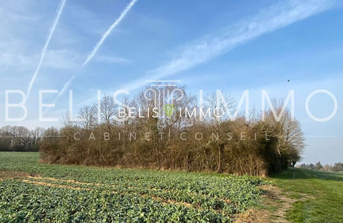 PARCELLE DE BOIS - AMBOISE 2290 M² — photo 4