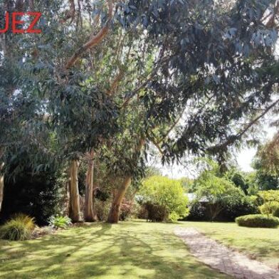 Maison 13 pièces 260000 €