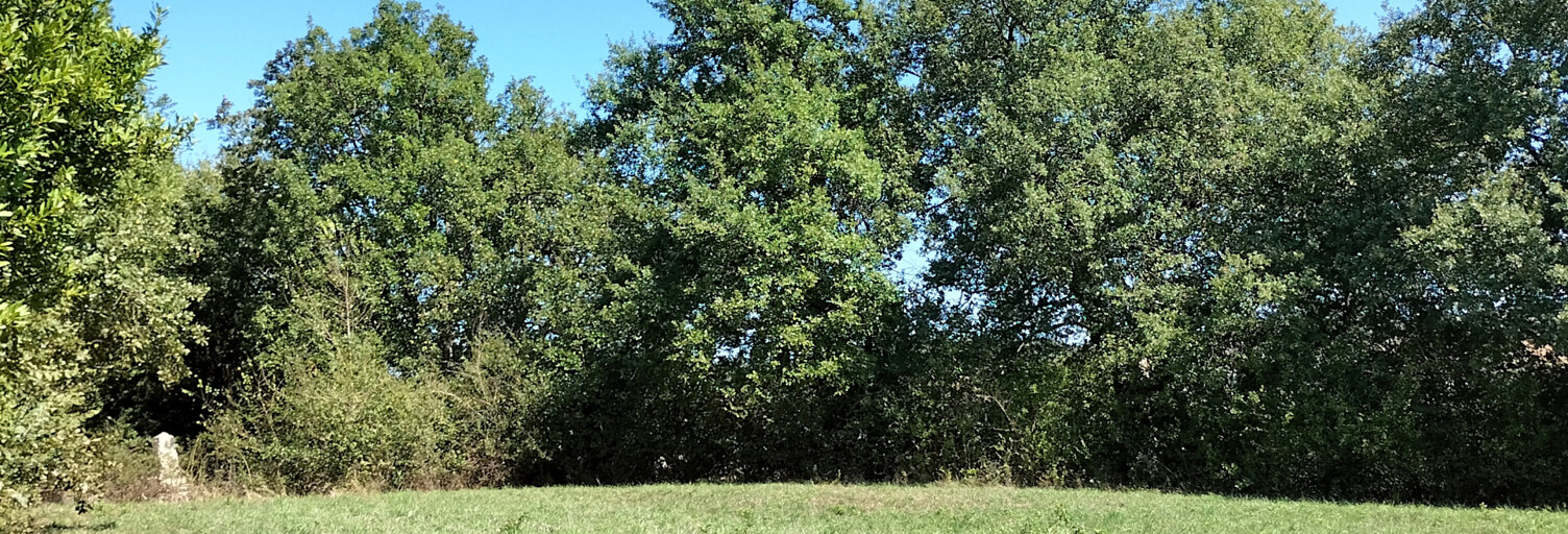 Terrain  2800 m² à vendre à Saramon (32450)