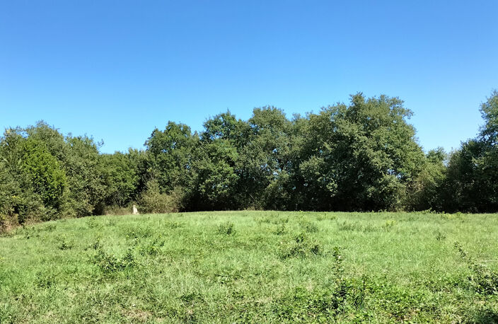 joli terrain de 2800m2 , sans vis à vis, 20 min d'Auch — photo 2