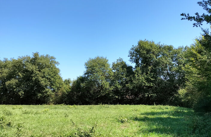 joli terrain de 2800m2 , sans vis à vis, 20 min d'Auch — photo 4