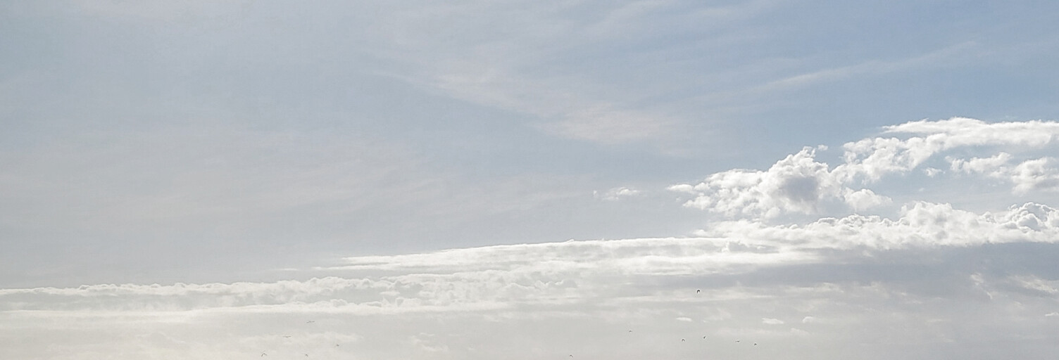 Appartement 2 Pièces 40 m² à vendre à Nice (06200)