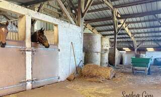 Maison 5 Pièces 106 m² à vendre à Ombrée d'Anjou (49420)