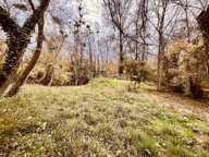 Terrain non constructible de 0 pièces principales — photo 4