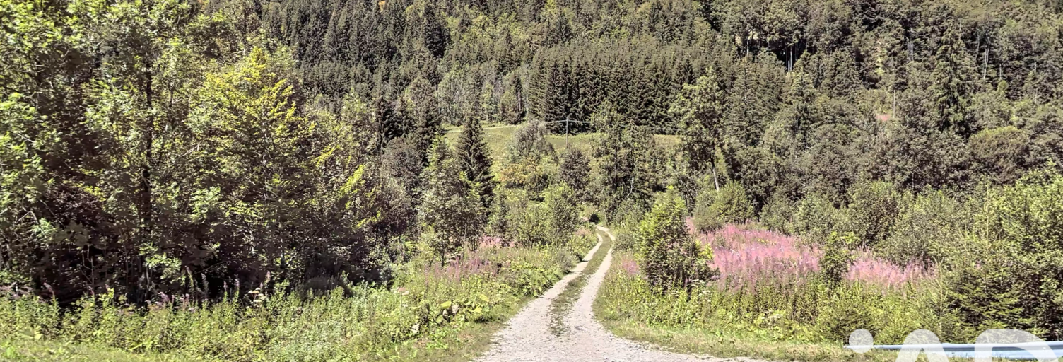 Terrain  430504 m² à vendre à Septmoncel les Molunes (39310)