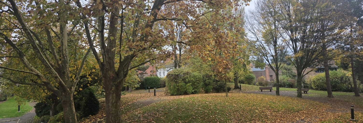 Appartement 3 Pièces 70 m² à vendre à Faches-Thumesnil (59155)